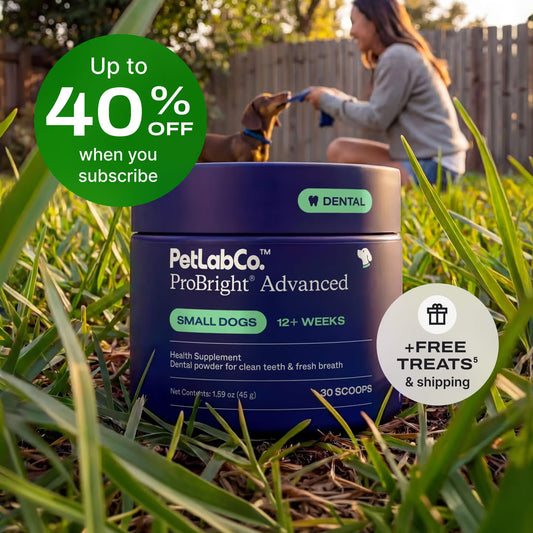 Medinature Fórmula dental avanzada para perros y gatos